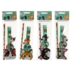 Pysselset 5-pack med söt katt