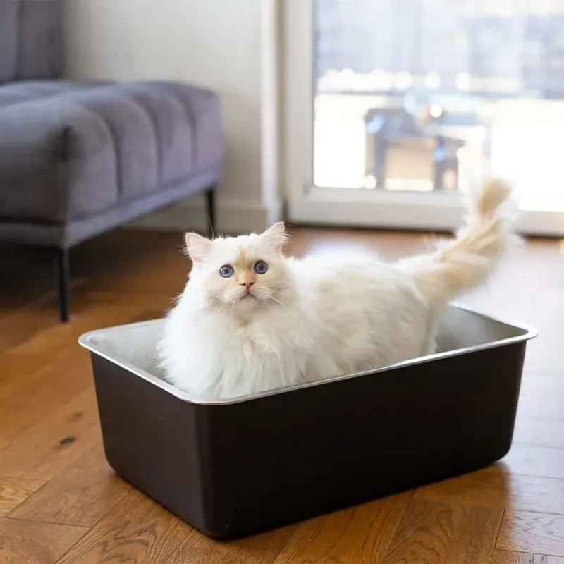 Quapas! Kattlåda i Rostfritt Stål Svart Beställ idag