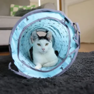 Rabatt Battersea Kattält och Tunnel Pop-Up Blå