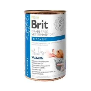 Rabatt Brit GF Vet Diets Dog + Cat Can Recovery – 400 g