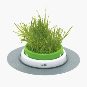 Rabatt Senses 2.0 Grass Planter