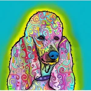 Rabatter Drymate Matskålsunderlägg Poodle