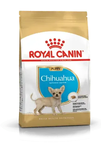 RC Chihuahua Puppy 500 g