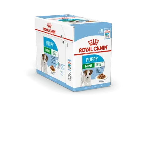 RC SHN Mini Puppy 12x85g