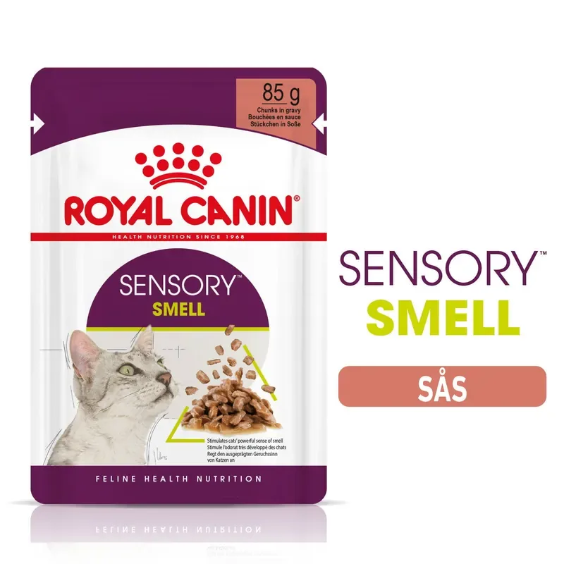 Reapris Royal Canin Sensory Smell 12×85 g