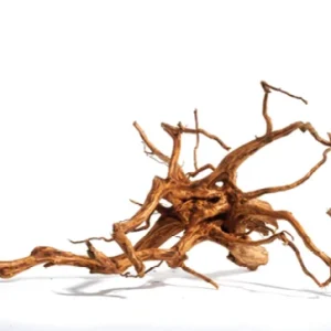 Red Moor Wood Mini Akvariedekoration
