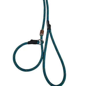 Retrieverkoppel Golden Teal