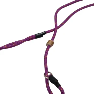 Retrieverkoppel Golden Violet