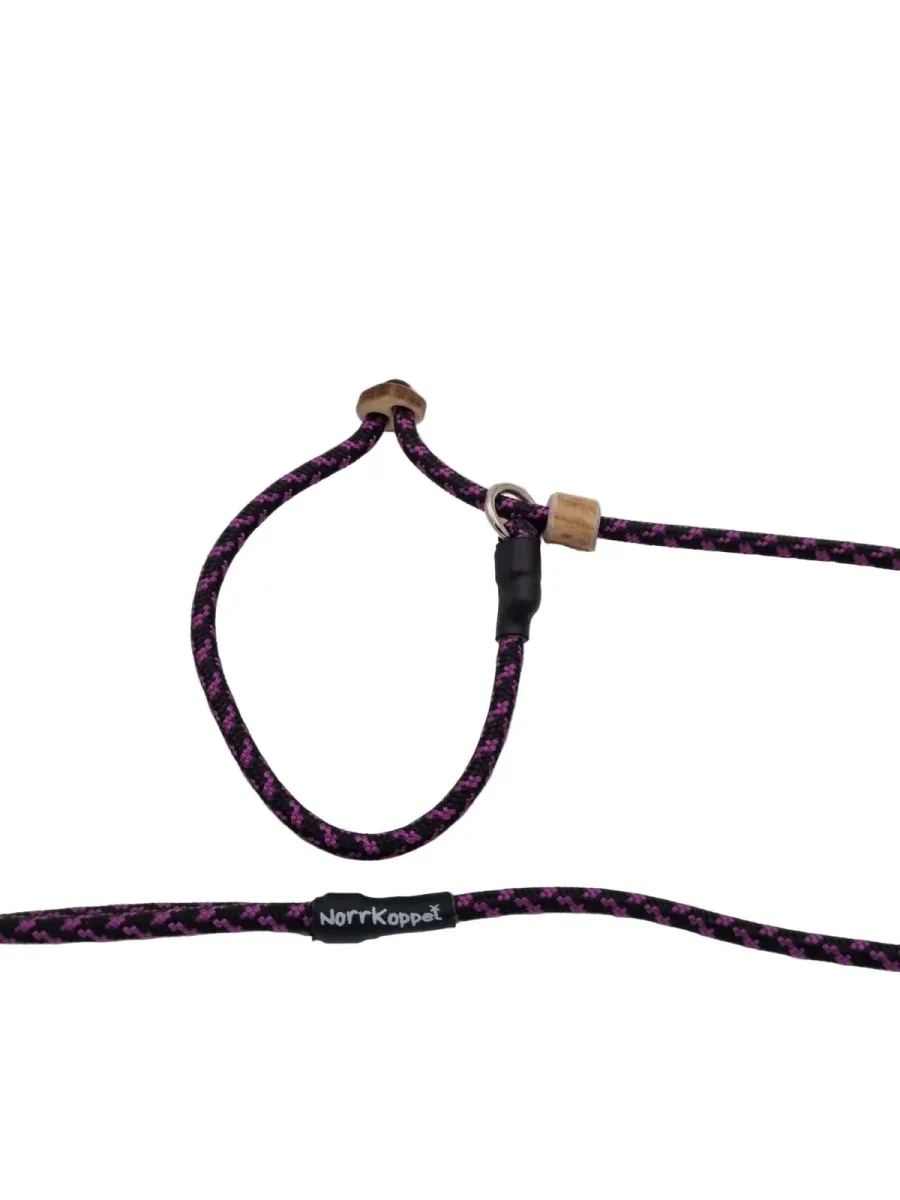 Retrieverkoppel med stopp Violet Licorice