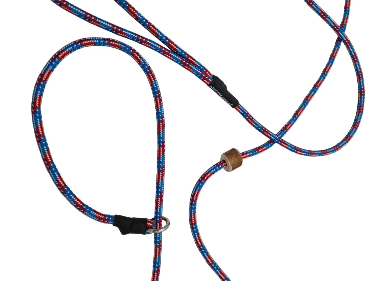 Retrieverkoppel Red & Blue