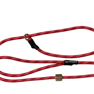 Retrieverkoppel Rhubarb