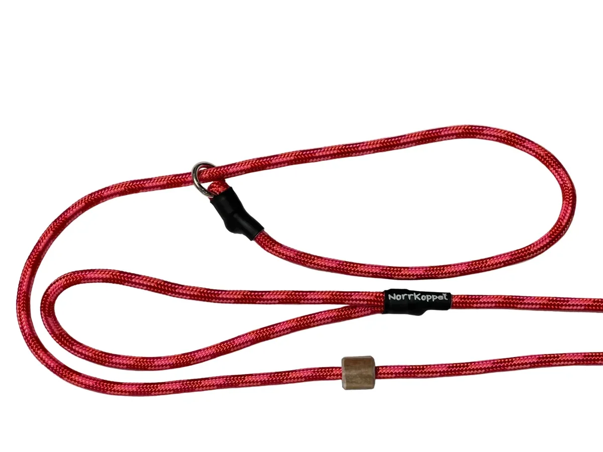 Retrieverkoppel Rhubarb