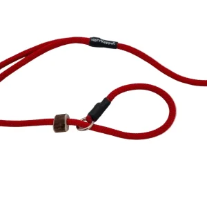 Retrieverkoppel Ruby