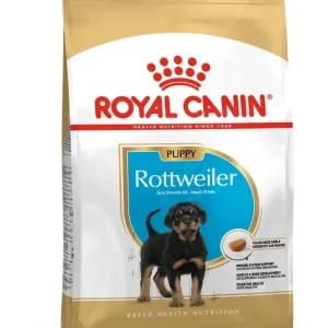 Rottweiler Puppy Torrfoder f枚r hund 12kg