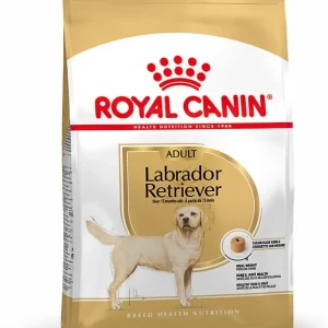 Royal Canin Adult Labrador Retriever hundfoder