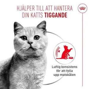 Royal Canin Appetite Control Care AirLift Mousse