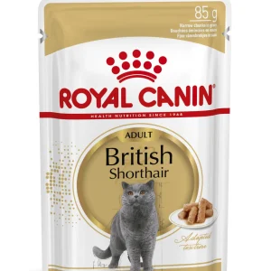 Royal Canin British Shorthair Adult våtfoder katt (i sås)