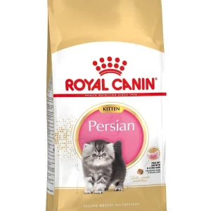 Royal Canin Kitten Persian kattfoder