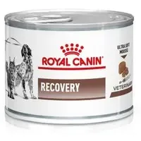 Royal Canin Veterinary Feline Recovery Ultra Soft mousse – 12 x 195 g Kampanjpris