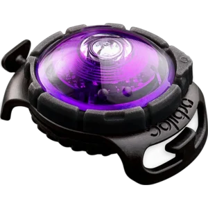 Safety Light Dog Dual LED - Hundlampa Lila