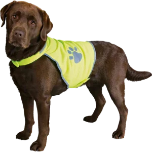 Safety Vest Neon Reflexv盲st
