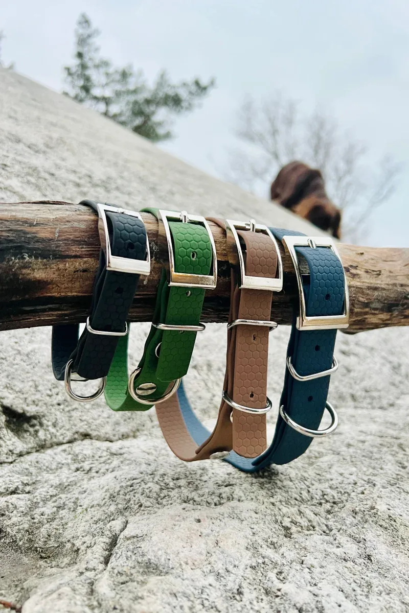 Saga klassiskt hundhalsband
