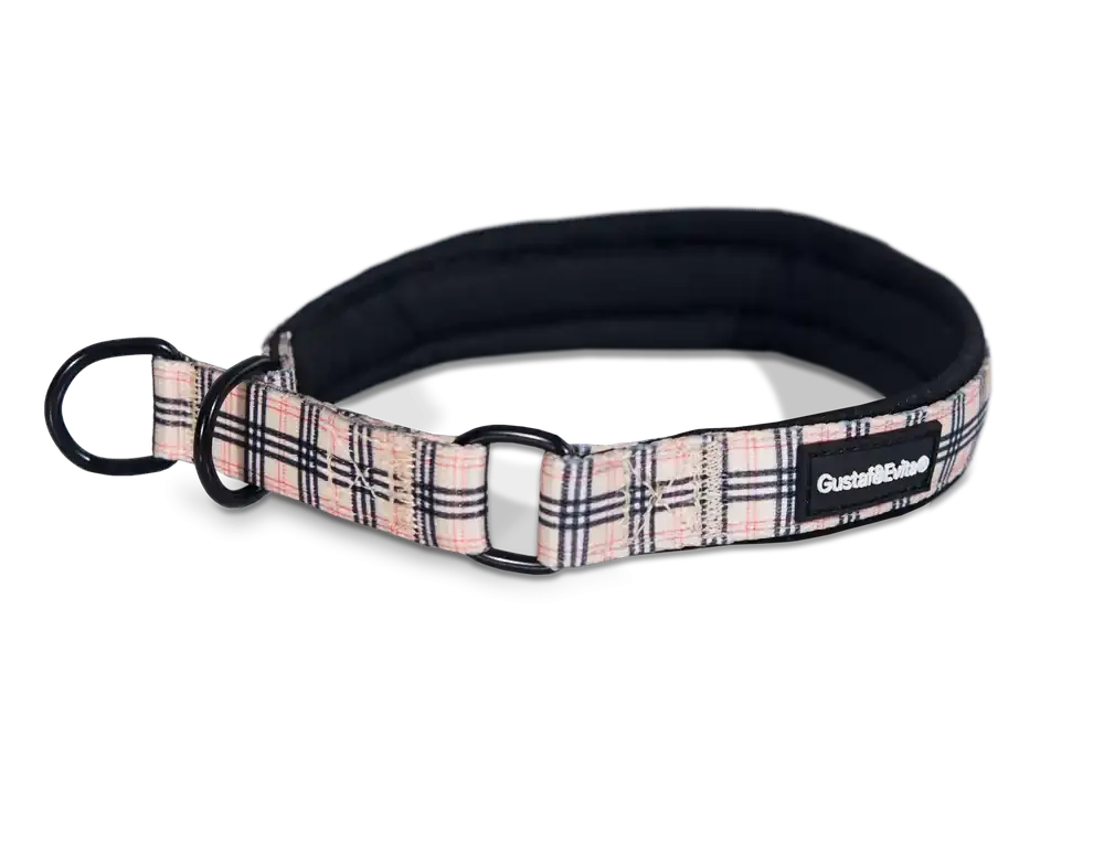Säker betalning Hundhalsband Stilish halvstryp S, 20mm x 3545cm Mönstrad