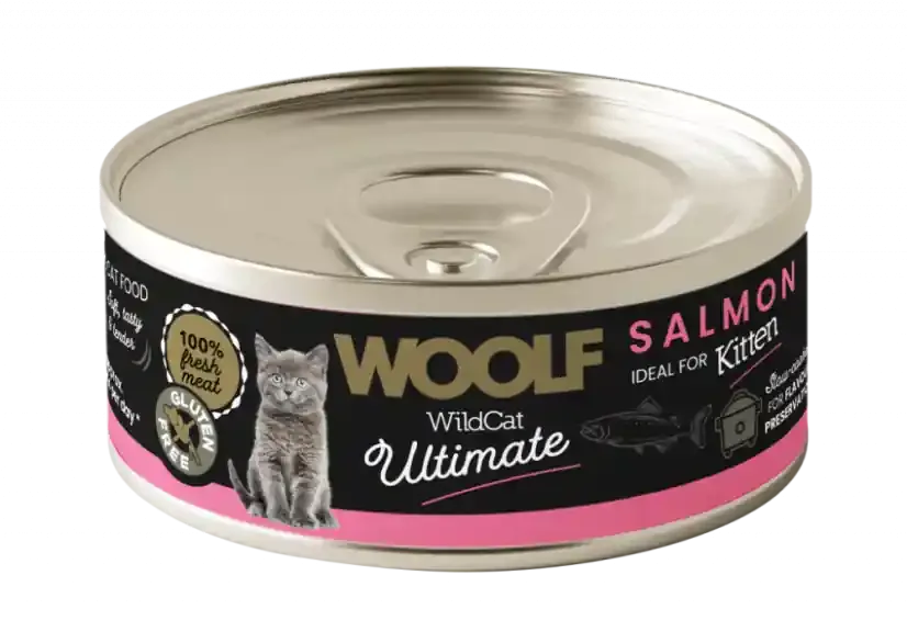 Salmon Paté Våtfoder för Kattunge – 12 x 85 g Endast idag