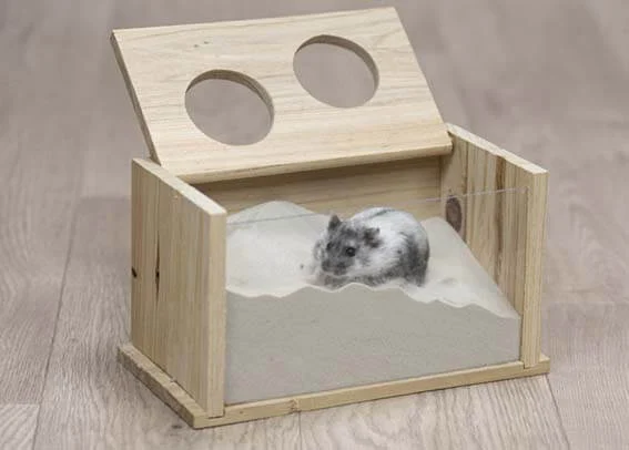 Sandbad Mus/Hamster - Image 2