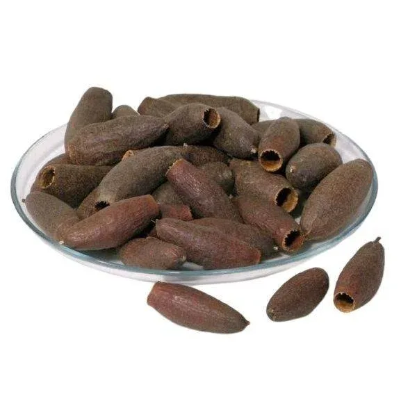Savu Pod / Jequitiba 6–9 cm