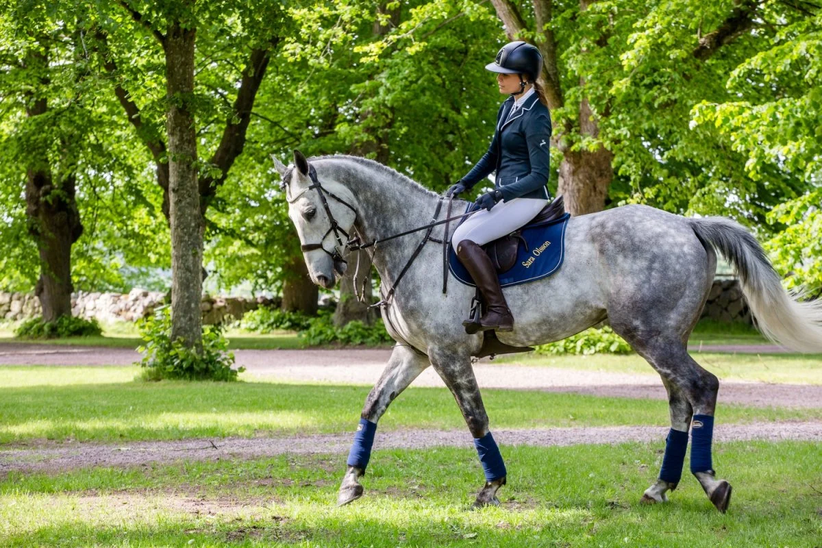 Schabrak PLUTO hopp/allround dby