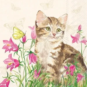 Servett, Kattunge bland ängsblomster