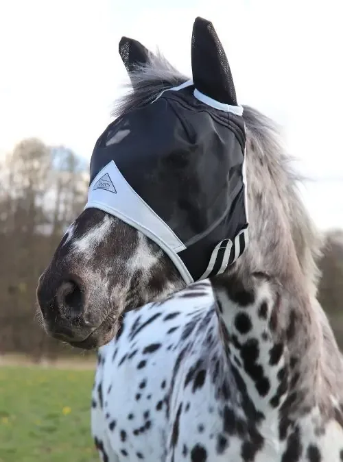 Shires Flughuva med Öron och Pannluggshål Trygg betalning