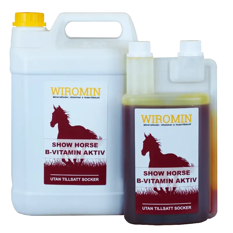 Show Horse B-vitamin aktiv