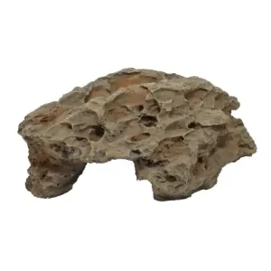 Sista chansen Comb Cave 2