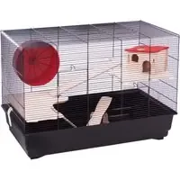 Skyline hamsterbur Roy – L 67 x B 36,5 x 46,5 cm Endast idag