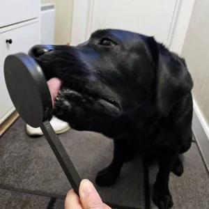 Slickepinne