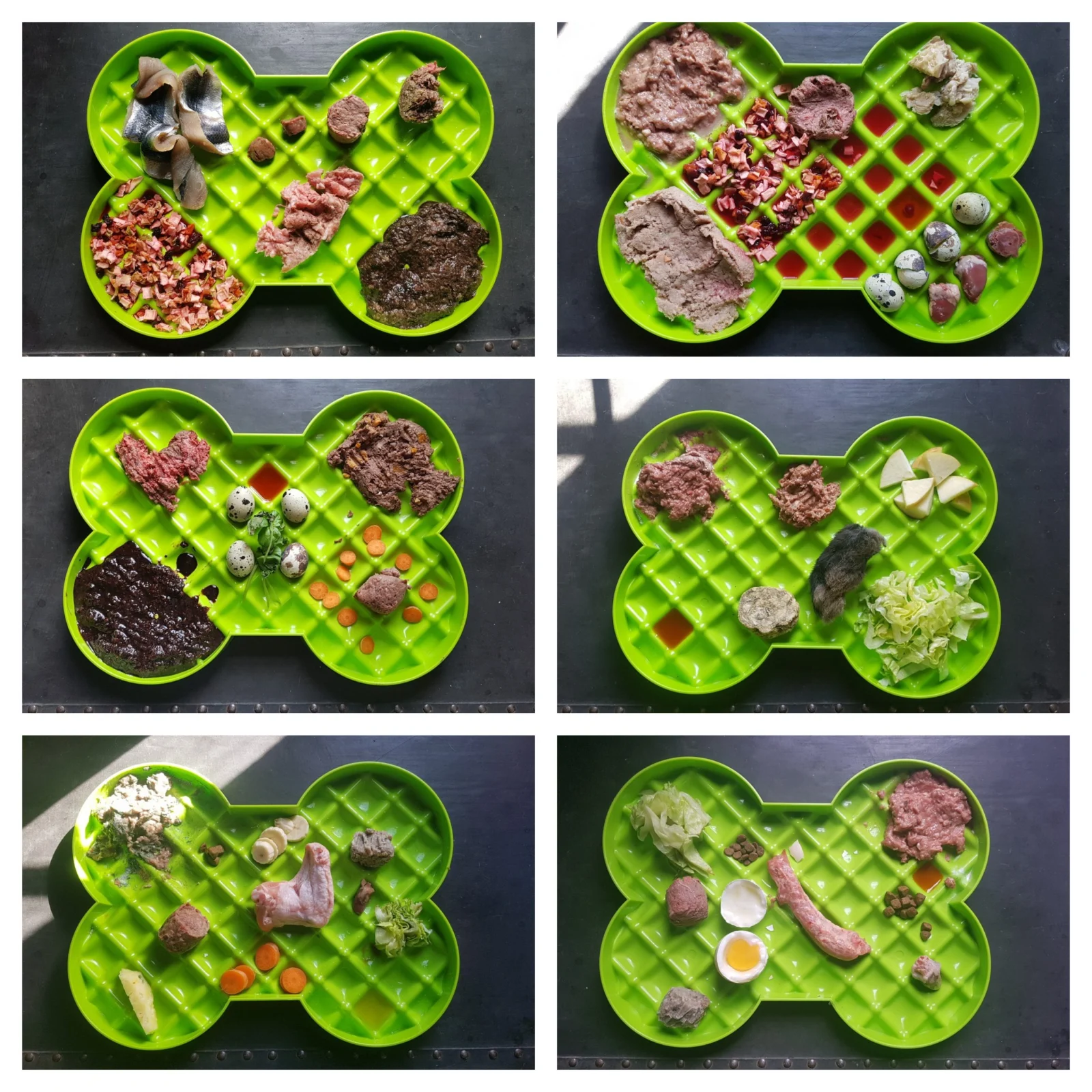 Slodog Slow Feeder Plate - Image 2