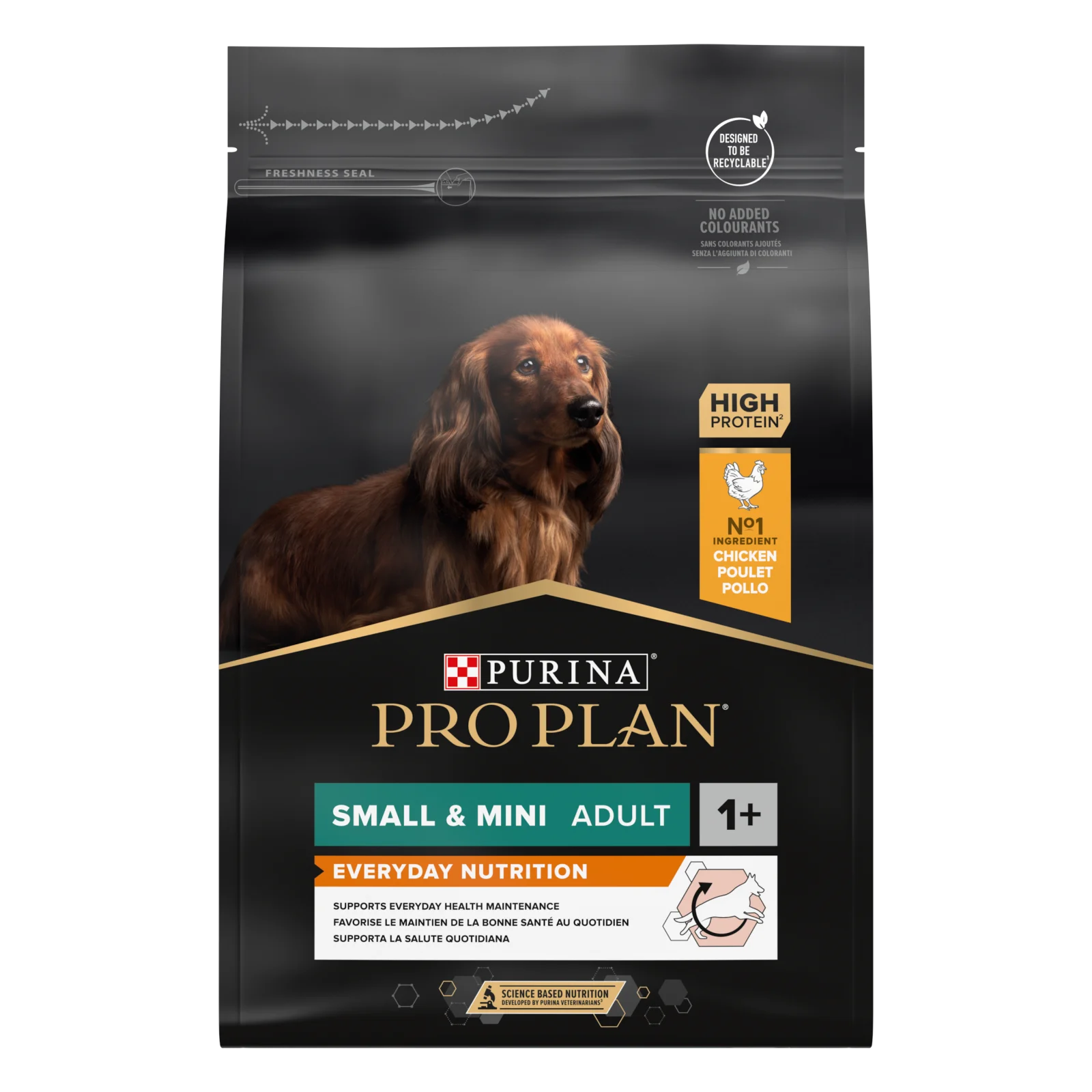 Small & Mini Adult - EVERYDAY NUTRITION