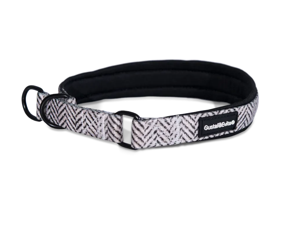 Snabb frakt Hundhalsband Modish halvstryp XS, 15mm x 3040cm Mönstrad