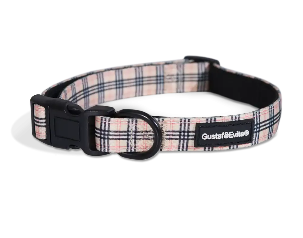 Snabb leverans Hundhalsband Stilish ställbart XS, 15mm x 2843cm Mönstrad