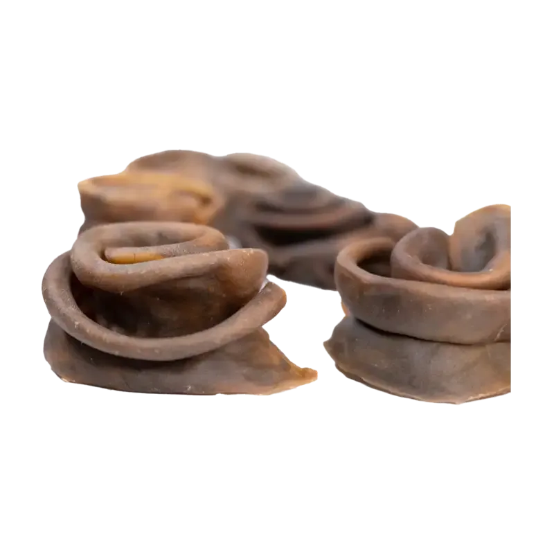 Snack’it Donut Kamelhud – 10 ST