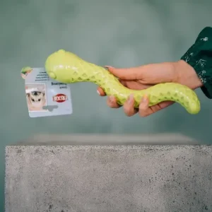 Snacksorm