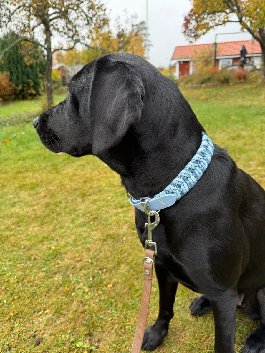 Special beställ – Aura halsband