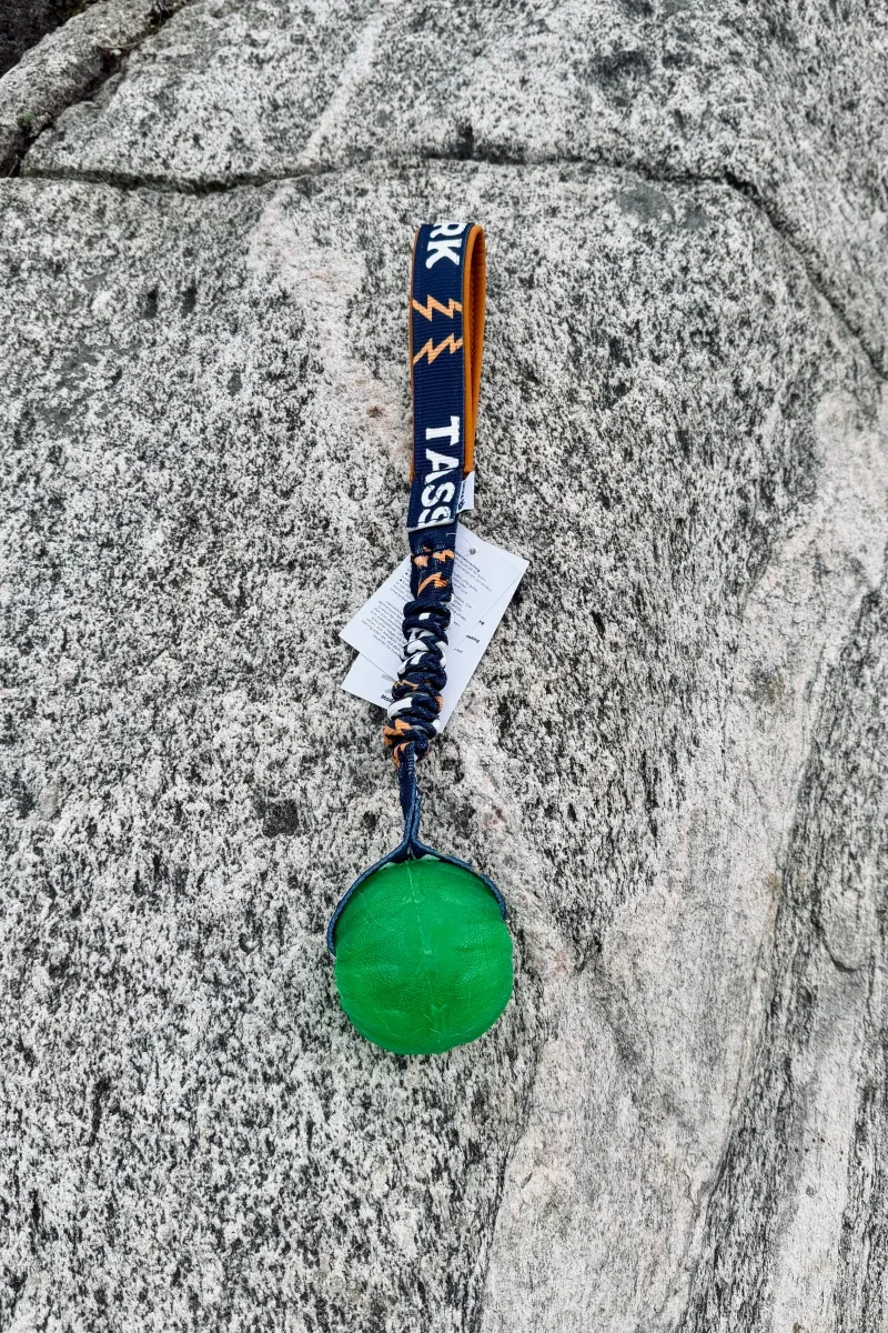 Starmark Chew Ball med bungee