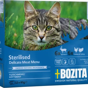 Sterilised Meat in Sauce V氓tfoder f枚r katt 12x85g