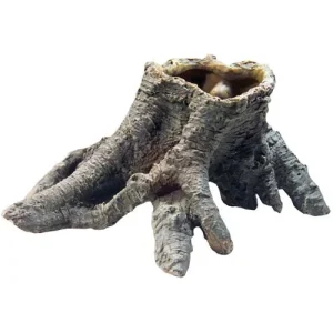 Stump Cavity 1