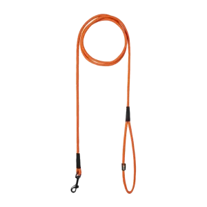Swim Leash Orange