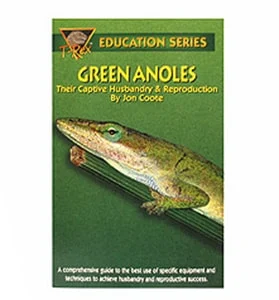 T-Rex Green Anoles SA 94