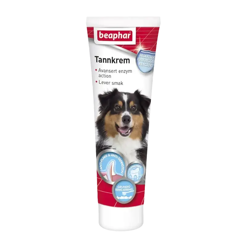 Tandkräm med Enzymer Hund & Katt